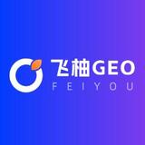 廣州GEO優(yōu)化哪家強(qiáng)？解析飛柚網(wǎng)絡(luò)的專業(yè)優(yōu)勢(shì)